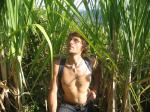hiking through the sugar cane