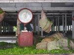 bags of freshly-cut tea unloaded and waiting at the tea factory